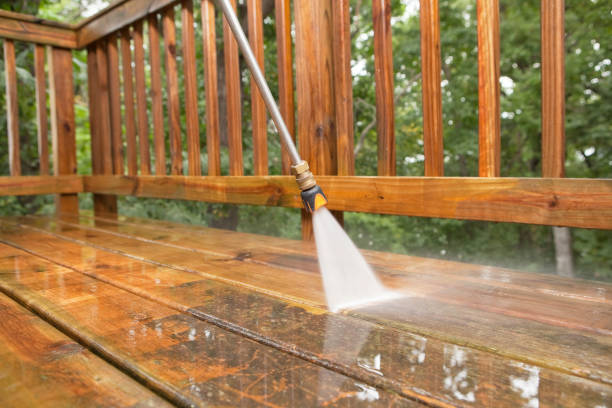 Best Roof Power Washing Services  in Mondovi, WI